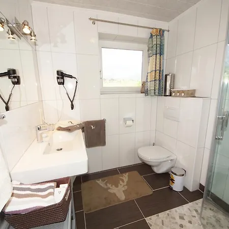 Guest house Alexandra 3*